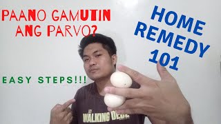 Paano gamutin ang Parvo  Home Remedy for Parvo  How to treat Parvovirus  D Jem [upl. by Etyak]