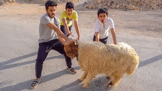 عيد الأضحى🐑محاولة هروب الخروف😂 [upl. by Gschu517]