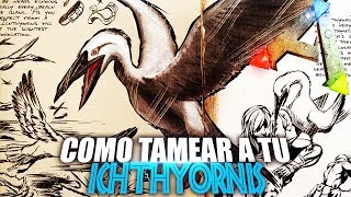 COMO TAMEAR A TU ICHTHYORNIS  Guia Español  Ark Survival Evolved [upl. by Graubert]