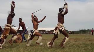 Zulu Dance Championships  Ulundi [upl. by Ialokin]