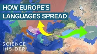 How IndoEuropean Languages Evolved [upl. by Enortna]