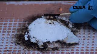 SUGAR OXIDATION WITH POTASSIUM NITRATE ROCKET PROPELLANT [upl. by Sinclair]