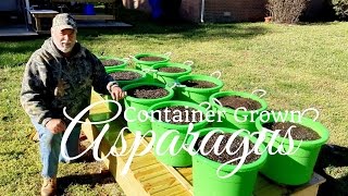 How To Grow Asparagus in Containers Part 1 of 3 [upl. by Yecaw]