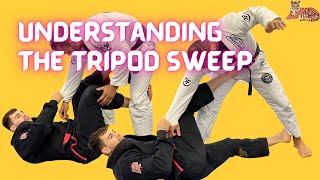 Understand The BJJ Tripod Sweep [upl. by Sorodoeht]