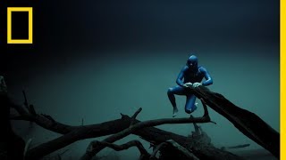 Experience the Underwater World Through the Eyes of a Free Diver  Short Film Showcase [upl. by Dareen]