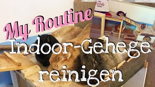 Reinigung meines Indoor Kaninchengeheges  My Routine [upl. by Dylana543]