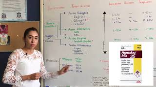 Terapia con insulinas en la Diabetes Mellitus tipo 2 Dra Paulina Crespo [upl. by Kamila]