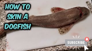 How to Prepare and Skin a Dogfish [upl. by Nertie203]