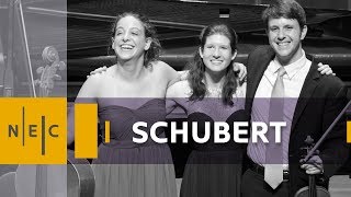 Schubert Piano Trio in Eflat major Op 100 [upl. by Siloum]