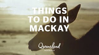 5 things to do in Mackay [upl. by Hallutama]