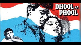 Dhool Ka Phool 1959 Evergreen Songs [upl. by Aitercal755]