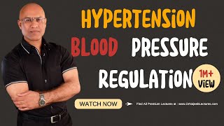 Hypertension  Blood Pressure Regulation  Hypotension [upl. by Elleuqram638]