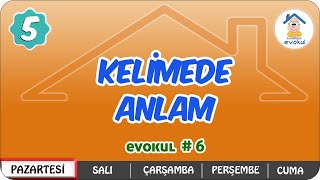 Kelimede Anlam  5Sınıf uzaktanegitim evokul Kampı [upl. by Eelatan235]