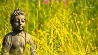 Zen Entspannungsmusik Wellness amp Regeneration Yoga Musik Tiefenentspannung amp Meditation [upl. by Enyawud663]