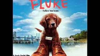 Fluke OST 18 ForeverThe Squirrel [upl. by Dow]