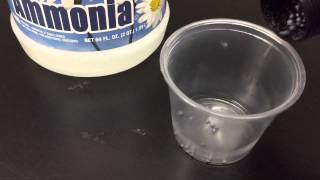 How to make exploding NITROGEN TRIIODIDE NI3 [upl. by Fawnia]