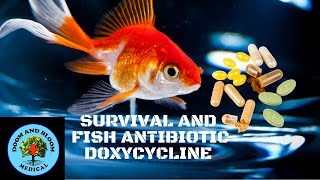 Antibiotic Doxycycline [upl. by Klos]