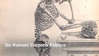 Andreas Vesalius [upl. by Dagmar]