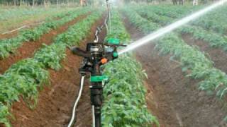 a spriklers system I instaled in India for Jain irrigation co [upl. by Nwaf]