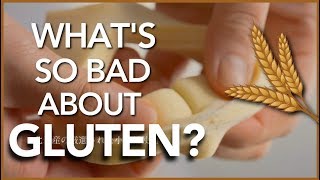 Is Gluten that bad for your health  The Science [upl. by Koenig]