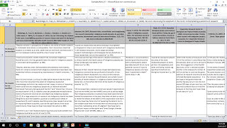 How to Create a Literature Matrix Excel [upl. by Azarria]