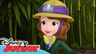 Sofia the First  Stronger Than You Know  Official Disney Junior Africa [upl. by Richmond646]