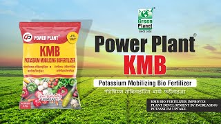 KMB Potassium Mobilizing Bio Fertilizer Marathi [upl. by Hakon]