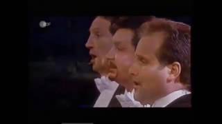 André Rieu amp The Platin Tenors Ach ich hab in meinem Herzen [upl. by Phaidra]