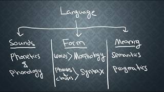 SEMANTICS1 What is Semantics [upl. by Irneh]