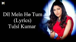 Dil Mein Ho Tum Lyrics Tulsi Kumar  Female Version [upl. by Innig]