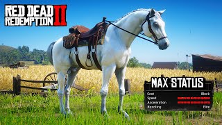 All 5 Rare Arabian Horse Location amp Rankings  RDR2 [upl. by Hacim899]