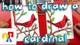 How To Draw A Cardinal [upl. by Mharg934]