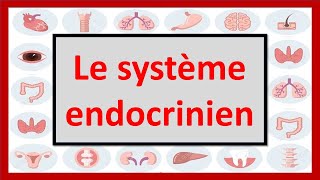 🔴ENDOCRINOLOGIE  LE SYSTÈME ENDOCRINIEN EN 06 MINUTES [upl. by Golightly]