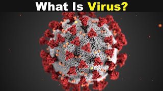 What Is Virus  Type of viruses UrduHindi [upl. by Weingarten]