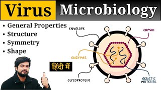 Virus Introduction  Structure Shape Size Symmetry General Properties  Hindi  Microbiology [upl. by Earised]