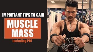 Important Tips to Gain MUSCLE MASS by Guru Mann including PDF [upl. by Ttirrem]