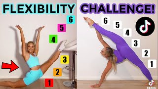 FLEXIBILITY TIK TOK CHALLENGE TWIN VS TWIN [upl. by Lav]