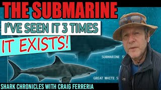 The Submarine  Part 1 Its real Ive seen South Africas giant great white shark three times [upl. by Afra]