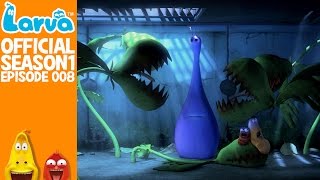 Official Insectivorous Plant  Larva Season 1 Episode 8 [upl. by Berkeley]