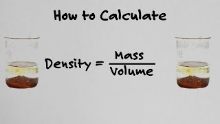 How To Calculate Density  With Examples [upl. by Irac]