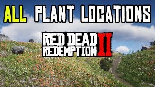 Red Dead Redemption 2  ALL 43 PLANTS amp HERBS LOCATIONS [upl. by Tenrag]