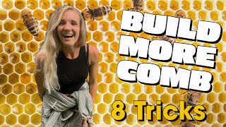 8 Tricks To Encourage Your Bees To Build More Comb EVEN IN JULY beekeeping [upl. by Adiari]