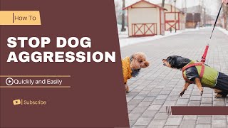 How to stop Dog Aggression quickly And easily  In a few steps [upl. by Jeno]