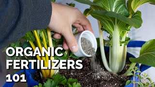 14 Organic Fertilizers and How to Use Them [upl. by Eentruoc]