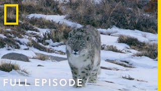 Mountains Full Episode  Hostile Planet [upl. by Ainnet992]