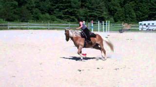 A girl and her horse compete in Gymkhana [upl. by Shipp]