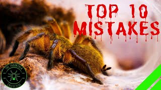 TOP 10 Mistakes Keeping Tarantulas amp Spiders  DONT DO THIS [upl. by Colene]