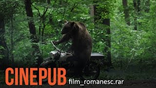 URSUL  Film Romanesc comedie  CINEPUB [upl. by Riccardo]