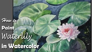 How to Paint Water Lily in Watercolor  step by step [upl. by Dustan270]