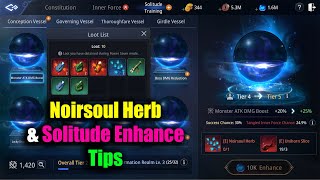 MIR4 Noirsoul Herb amp Solitude Enhance Tips [upl. by Ahseinar]